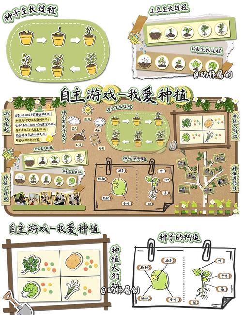 我的播种农场游戏攻略：种植规划及作物选择指南