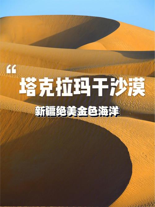 沙漠潜行者最新攻略:快速上手游戏技巧教学