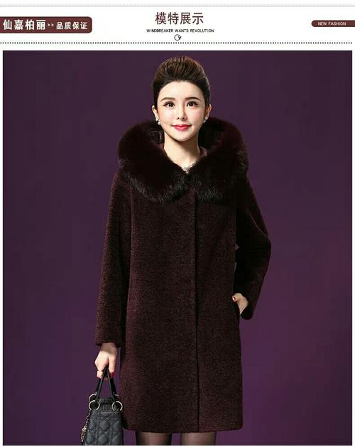 最新剪羊羊版本号是多少？全面解读版本更新内容