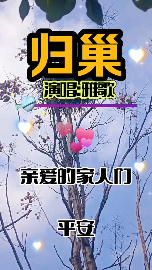 归巢如何下载最新版?更新技巧秒上手!