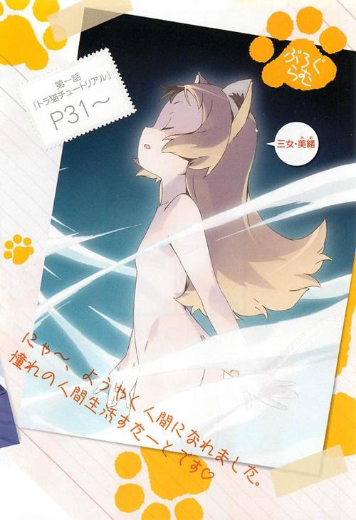 猫娘汉化版下载速度快技巧?提升效率实用方法!