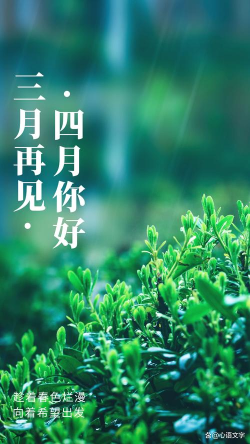 jinricp3月4日正式版下载安卓怎么提速下载?实用秘诀高效完成!