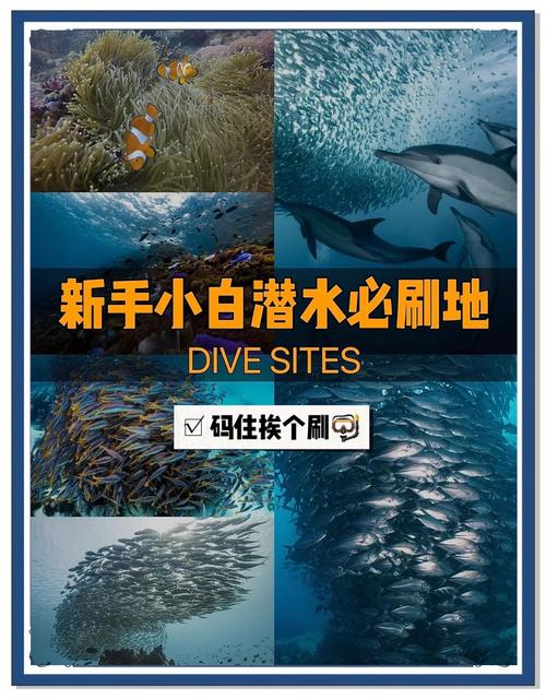 超潜世界最新版本是多少 现在更新到几号了快速查