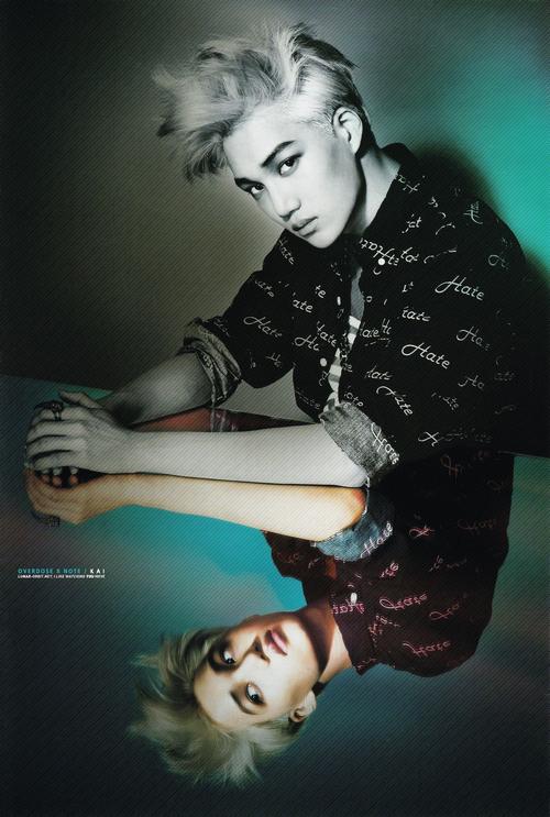 KAI合集版本大全哪个好用？老用户分享真实体验！