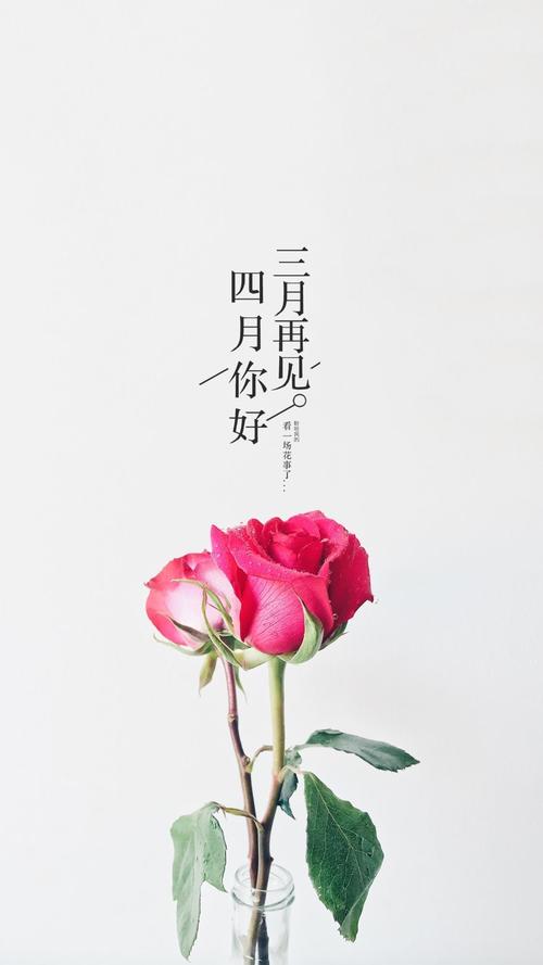 jinricp3月4日正式版游戏介绍评测如何？(真实用户体验优缺点分析)