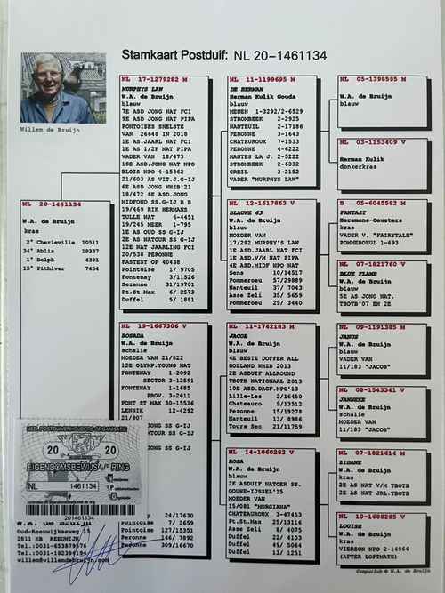 比较史密斯的血统官方正式版下载最新版优缺点？（用户推荐避坑指南）