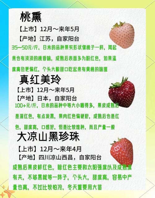 草莓粥粥在哪下载详细步骤新手也能学会!