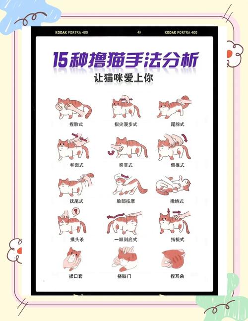 小野猫N上官网怎么操作？新手速学5步简单入门！