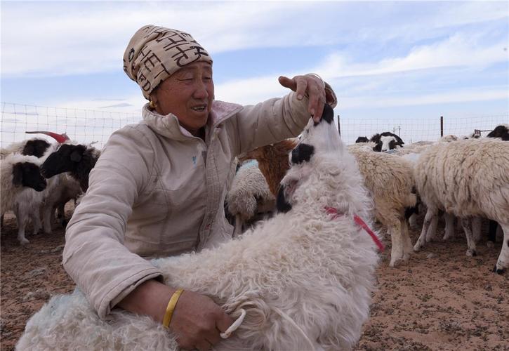 剪羊羊官方网站如何下载？官方安全途径详细指导！