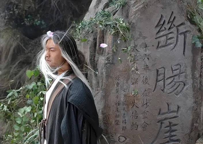 受虐狂模拟器杨过游戏怎么玩（新手攻略快速上手不踩坑！）