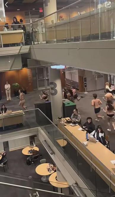 裸体学院裸体学校绅士游戏