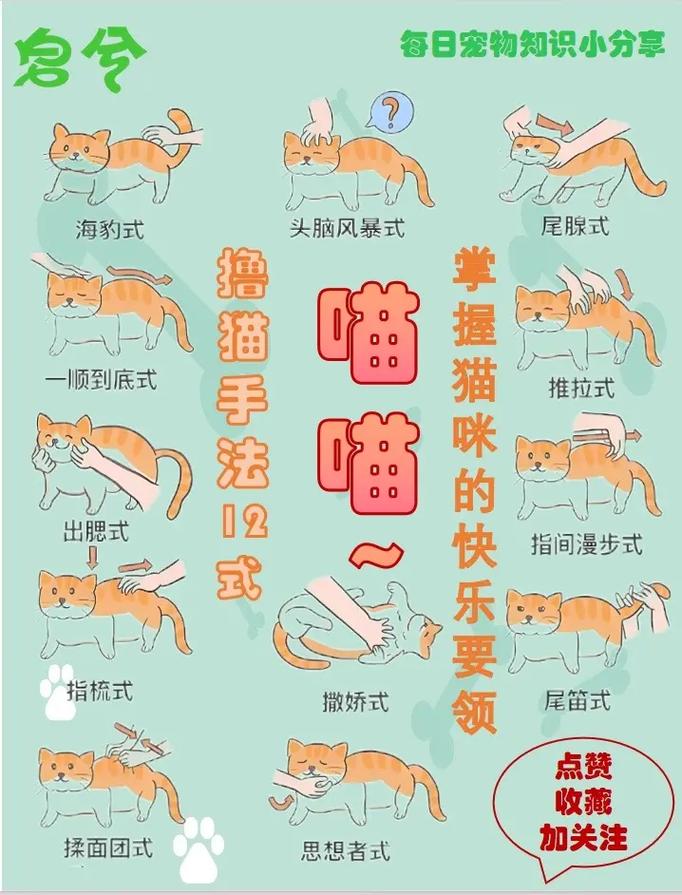 小野猫N上官网怎么操作？新手速学5步简单入门！