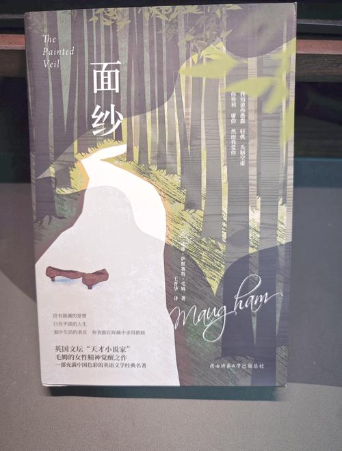 揭开未知的面纱下载地址操作指南？新手必看教程！