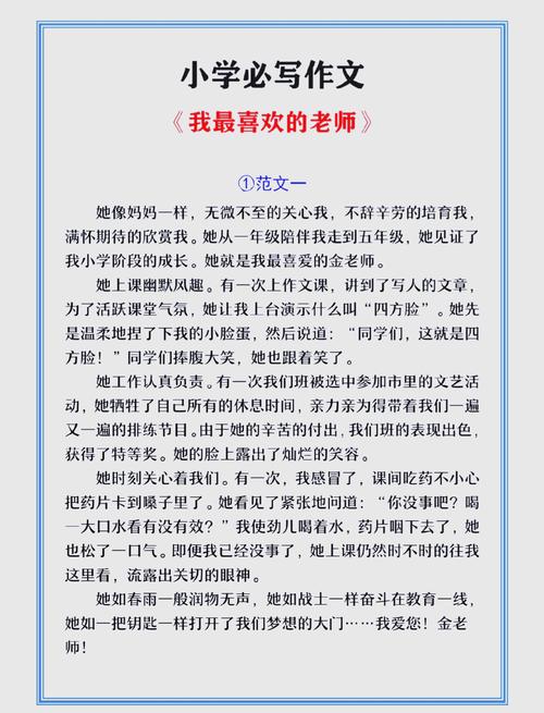 最喜欢的老师在哪下载?手机电脑通用指南教程!