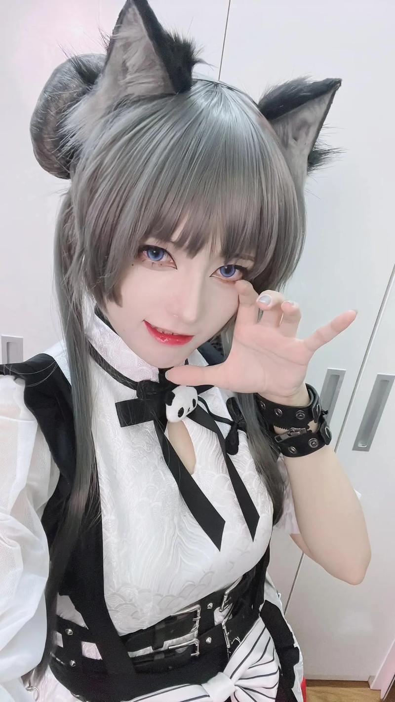 coser2哪个版本好用？完整版大全+插件功能介绍