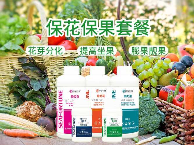 保利托农最新版本好用不？用户真实评价分享！