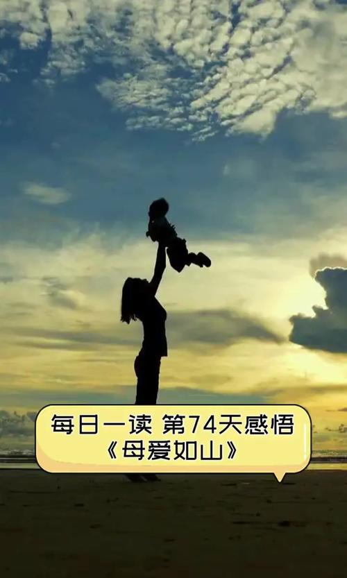 母爱如山更新地址哪个网站快？手机电脑都能看