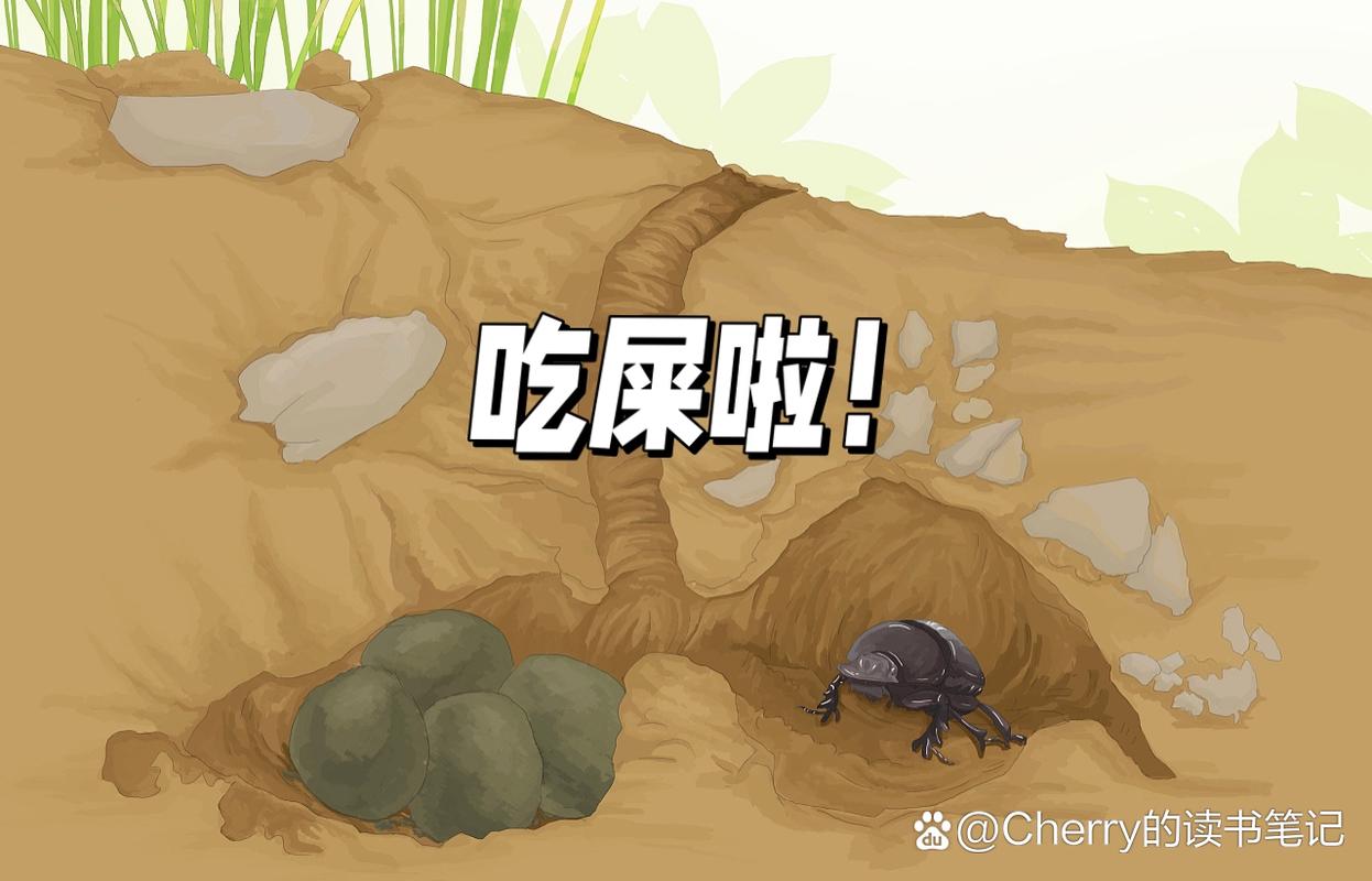 忠诚的一课游戏下载在哪安全?推荐这3个官网平台别错过!