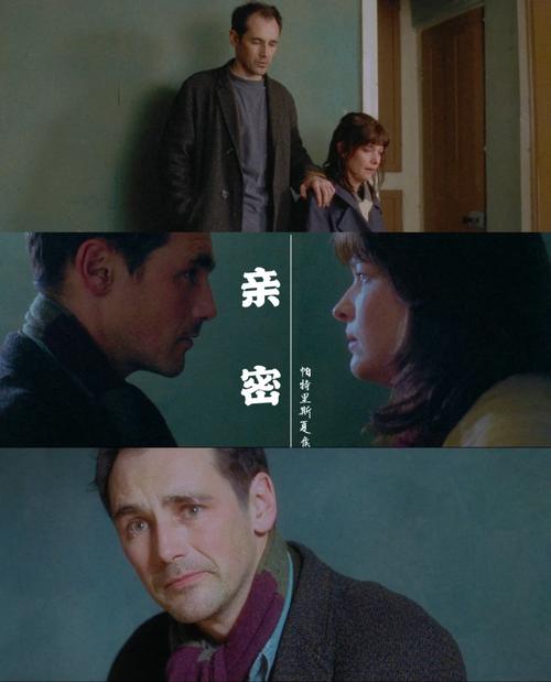 亲密接触版本大全最新资源?最详细的平台使用攻略