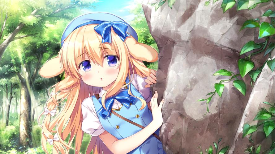 岛主日记官方网站有什么看？独家内容免费分享！