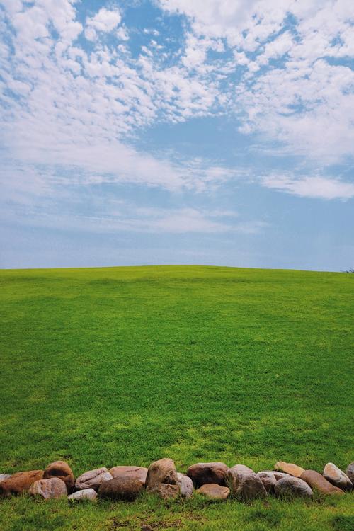 青青草原下载地址哪家平台好？对比这几家再下载！