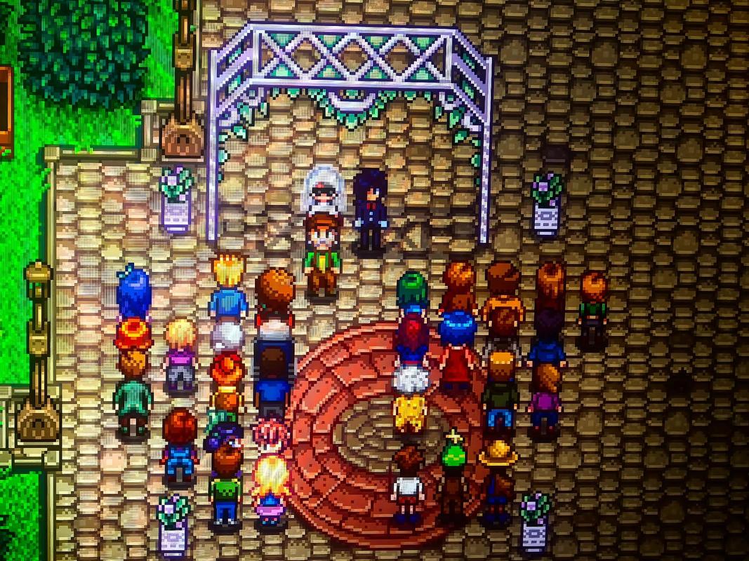 获取瑟瑟谷物语汉化版更新的方法(多种途径全指南推荐)