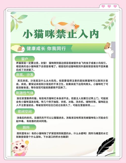 野猫版本大全安全指南(避免风险的5条实用提醒)