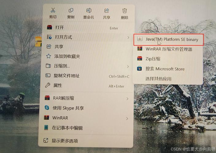 鲁迪下载后打不开怎么办?五个解决方法速收藏