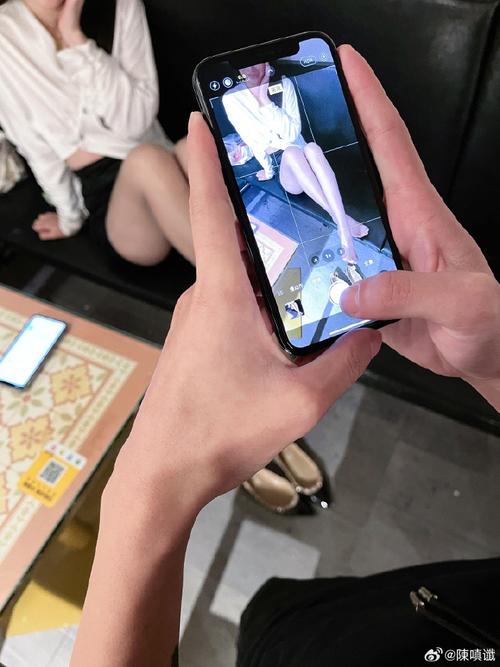 小逗逗版本大全有啥区别？新手老手适用版本全解析