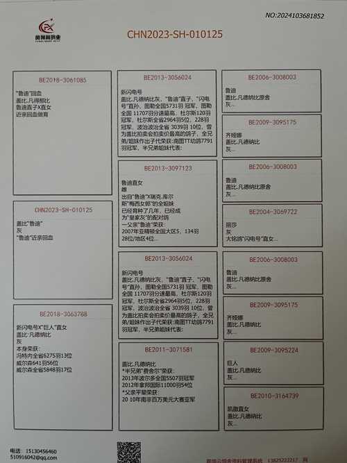 鲁迪版本大全怎么选?专家教你选对版本!