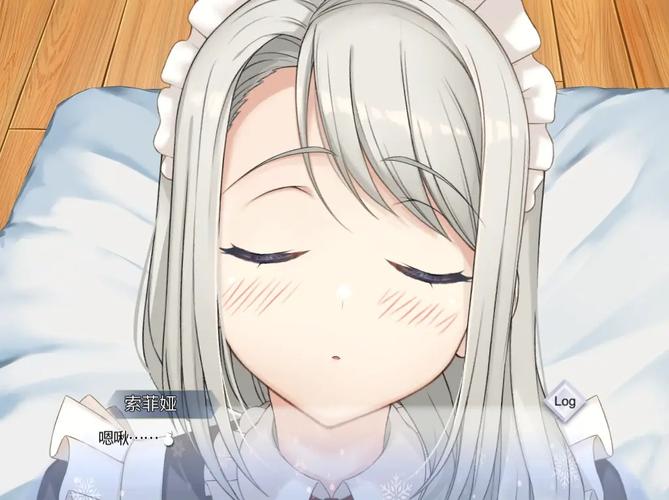 我与女仆索菲娅的秘密安卓通关教程?(快速上手指南和技巧分享)